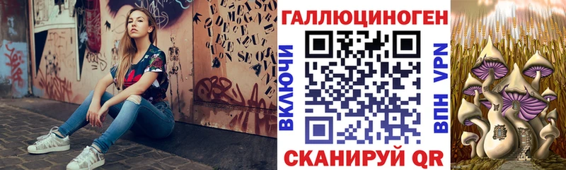 продажа наркотиков  Оренбург  Галлюциногенные грибы Magic Shrooms 