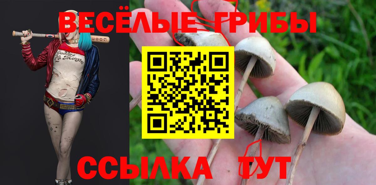 Оренбург  Галлюциногенные грибы Psilocybine cubensis  Вход с VPN  Псилоцибиновые грибы прущие грибы 